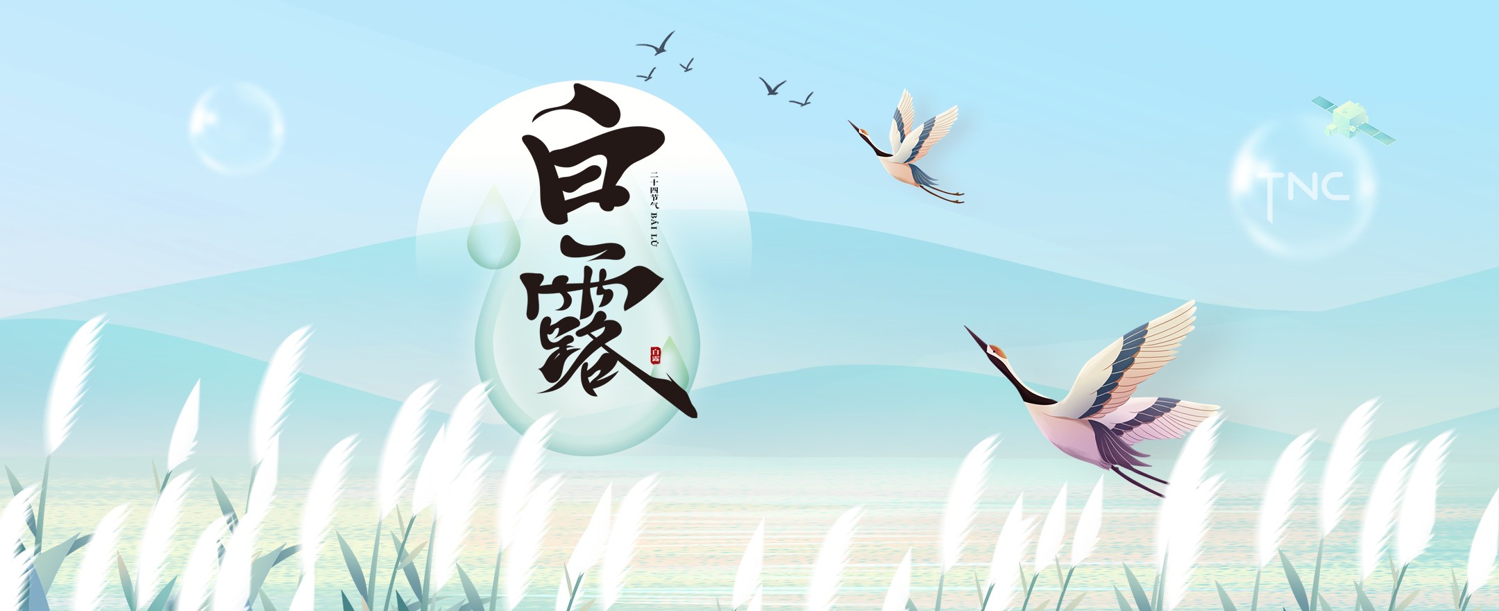 九游娱乐科技